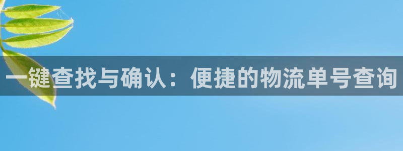 放usdt的钱包