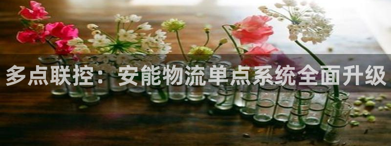 usdt收款怎么弄