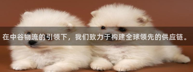 买usdt犯法吗