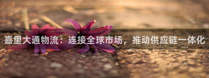 usdt币图片大全