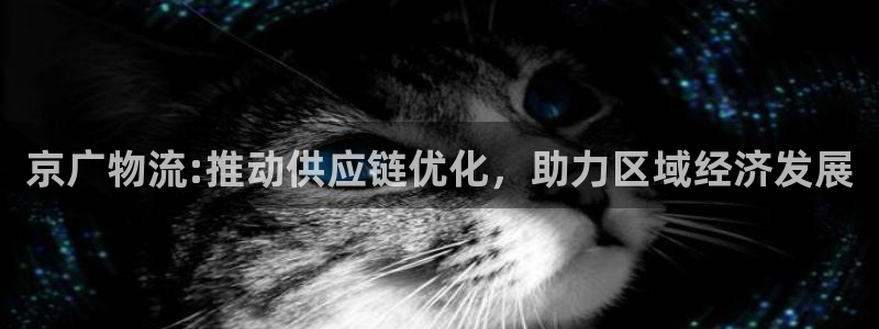 如何查询usdt区块记录