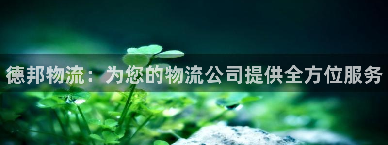 怎么用usdt支付