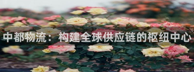 usdt钱包下载官网最新地址