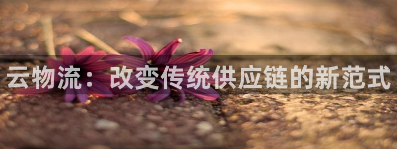 USDT钱包官网下载