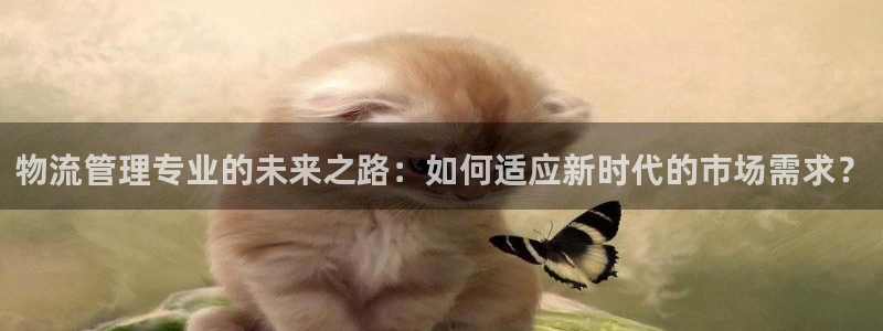 手机usdt钱包