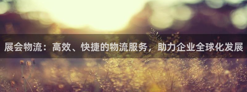 usdt交易有风险吗：展会物流：高效、快捷的物流服务，助力企