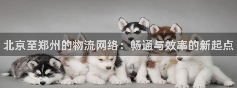 usdt钱包被冻结