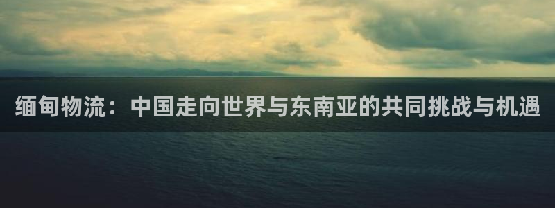 usdt支付平台