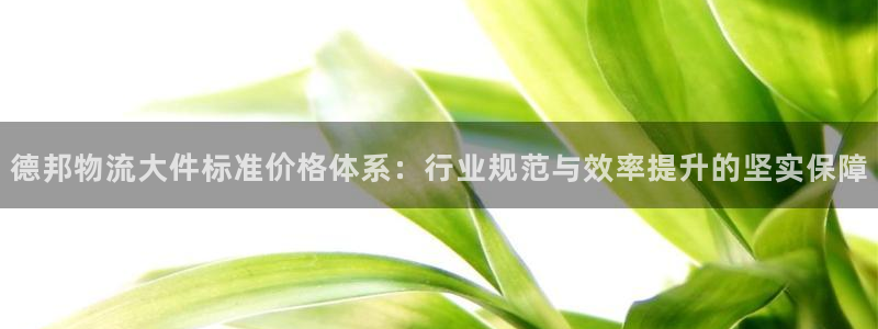 可以存usdt的钱包：德邦物流大件标准价格体系：行业规范与效